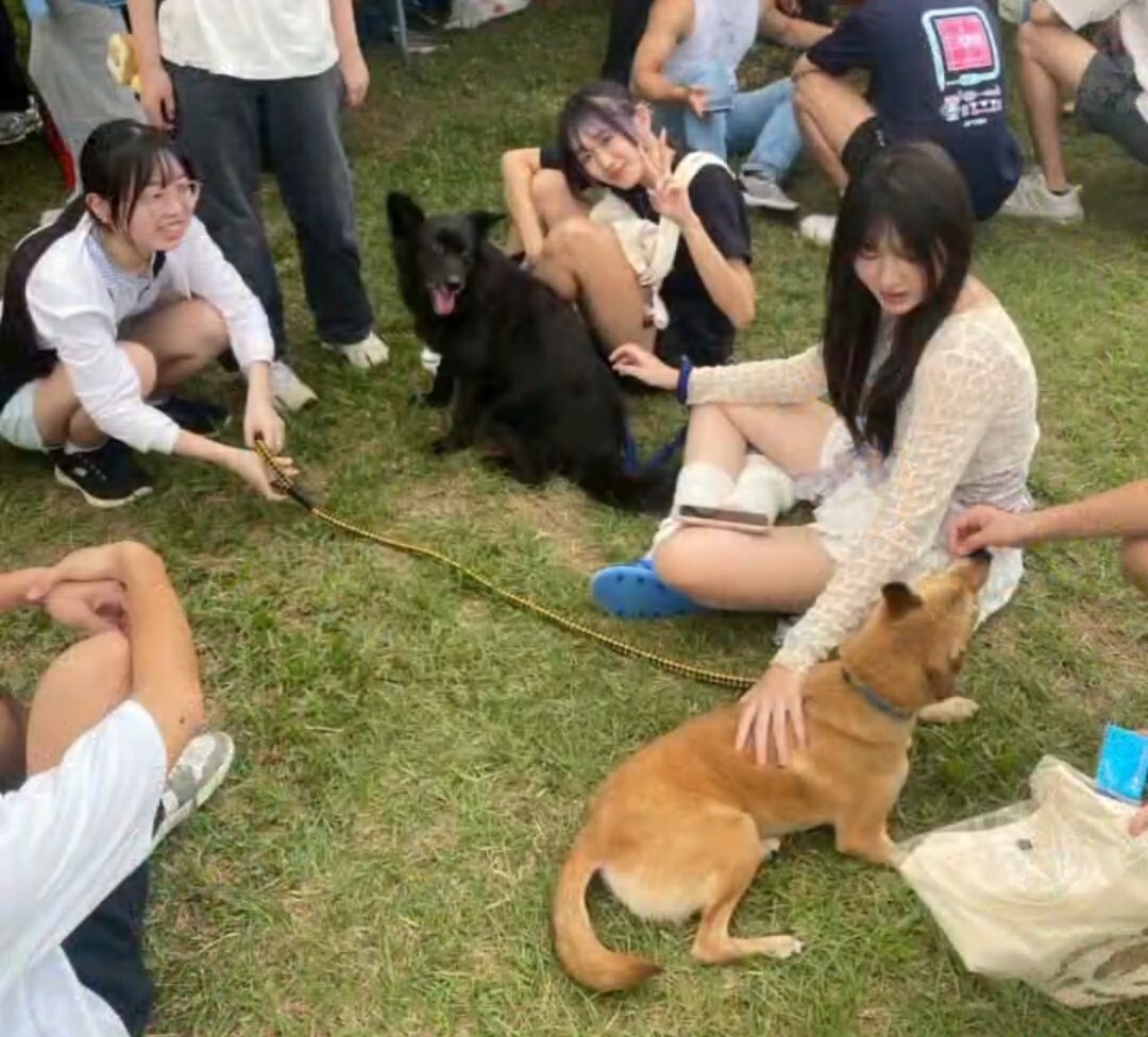 動物保護社