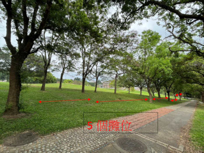 花攤商區示意圖2圖片